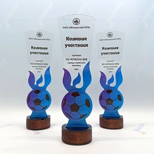 Кубок K-9315